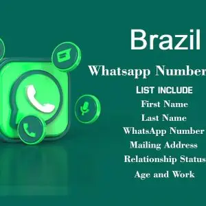 Brazil whatsapp number data