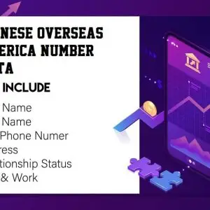 Chinese Overseas America Number Data 100000 Package