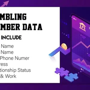 Gambling Number Data 500k Package