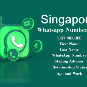 Singapore whatsapp number data