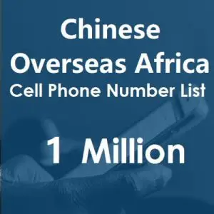 Chinese overseas africa database