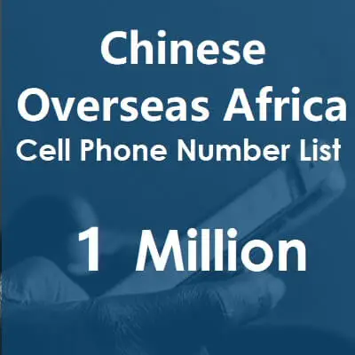 Chinese overseas africa data