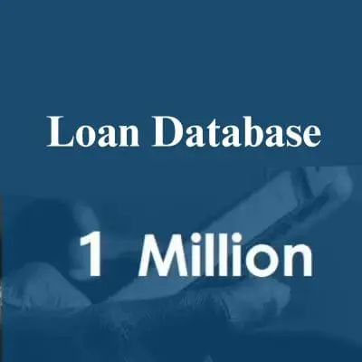 Loan data