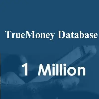 TrueMoney data