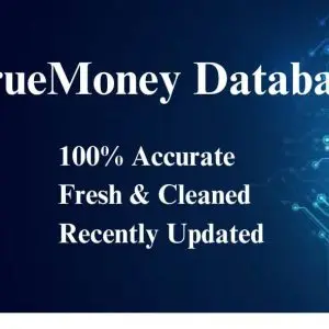 Truemoney database