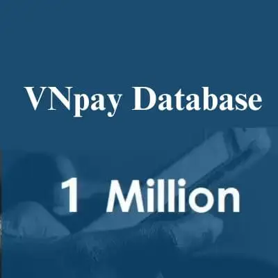 VNpay data