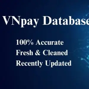 VNpay database