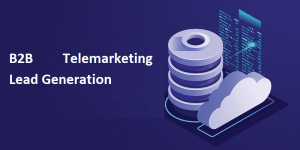 B2B Telemarketing Lead Generation