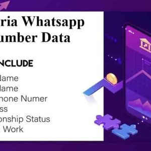 Nigeria Whatsapp Number Data