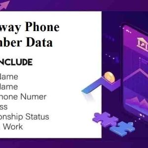 Norway phone number data